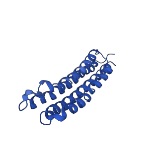 22880_7khr_q_v1-1
Cryo-EM structure of bafilomycin A1-bound intact V-ATPase from bovine brain
