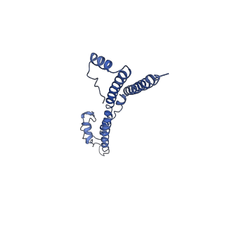 22881_7khw_B_v1-2
Cryo-EM structure of enteropathogenic Escherichia coli type III secretion system EspA filament