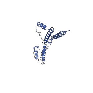 22881_7khw_B_v1-3
Cryo-EM structure of enteropathogenic Escherichia coli type III secretion system EspA filament