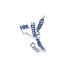 22881_7khw_C_v1-3
Cryo-EM structure of enteropathogenic Escherichia coli type III secretion system EspA filament