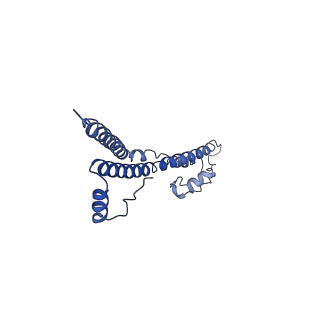 22881_7khw_E_v1-3
Cryo-EM structure of enteropathogenic Escherichia coli type III secretion system EspA filament