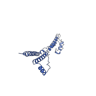 22881_7khw_F_v1-3
Cryo-EM structure of enteropathogenic Escherichia coli type III secretion system EspA filament