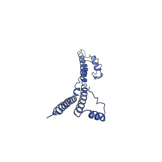 22881_7khw_G_v1-2
Cryo-EM structure of enteropathogenic Escherichia coli type III secretion system EspA filament
