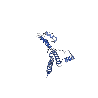 22881_7khw_H_v1-2
Cryo-EM structure of enteropathogenic Escherichia coli type III secretion system EspA filament