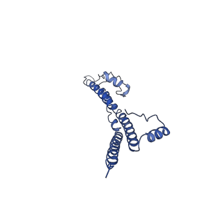 22881_7khw_H_v1-3
Cryo-EM structure of enteropathogenic Escherichia coli type III secretion system EspA filament