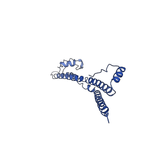 22881_7khw_I_v1-2
Cryo-EM structure of enteropathogenic Escherichia coli type III secretion system EspA filament
