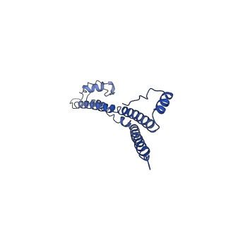 22881_7khw_I_v1-3
Cryo-EM structure of enteropathogenic Escherichia coli type III secretion system EspA filament