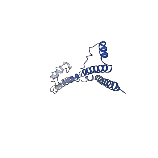 22881_7khw_J_v1-3
Cryo-EM structure of enteropathogenic Escherichia coli type III secretion system EspA filament