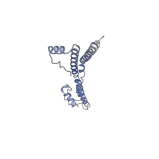 22881_7khw_K_v1-2
Cryo-EM structure of enteropathogenic Escherichia coli type III secretion system EspA filament