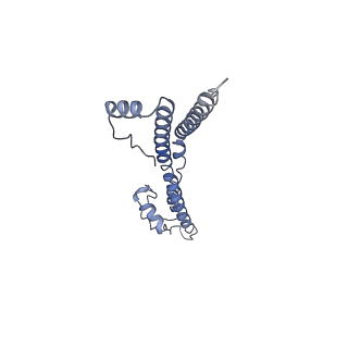 22881_7khw_K_v1-3
Cryo-EM structure of enteropathogenic Escherichia coli type III secretion system EspA filament