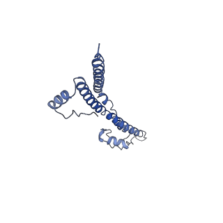 22881_7khw_L_v1-2
Cryo-EM structure of enteropathogenic Escherichia coli type III secretion system EspA filament