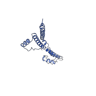 22881_7khw_L_v1-3
Cryo-EM structure of enteropathogenic Escherichia coli type III secretion system EspA filament