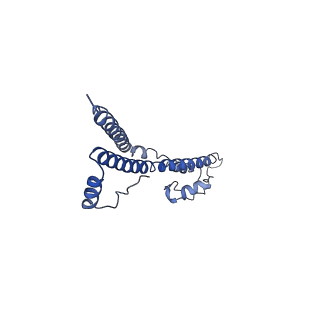 22881_7khw_M_v1-2
Cryo-EM structure of enteropathogenic Escherichia coli type III secretion system EspA filament