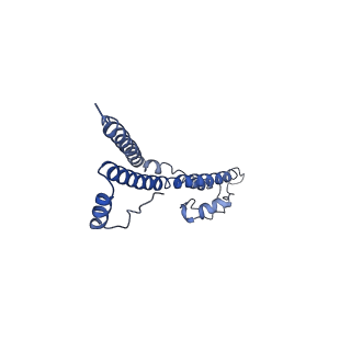 22881_7khw_M_v1-3
Cryo-EM structure of enteropathogenic Escherichia coli type III secretion system EspA filament