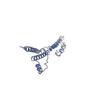 22881_7khw_N_v1-3
Cryo-EM structure of enteropathogenic Escherichia coli type III secretion system EspA filament