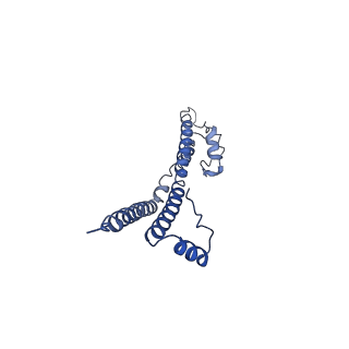 22881_7khw_O_v1-2
Cryo-EM structure of enteropathogenic Escherichia coli type III secretion system EspA filament