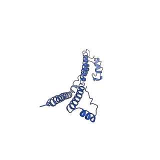 22881_7khw_O_v1-3
Cryo-EM structure of enteropathogenic Escherichia coli type III secretion system EspA filament