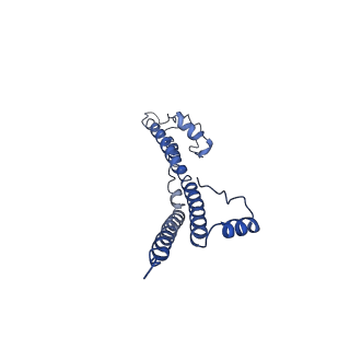 22881_7khw_P_v1-2
Cryo-EM structure of enteropathogenic Escherichia coli type III secretion system EspA filament
