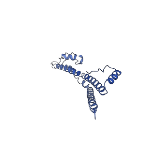 22881_7khw_Q_v1-2
Cryo-EM structure of enteropathogenic Escherichia coli type III secretion system EspA filament