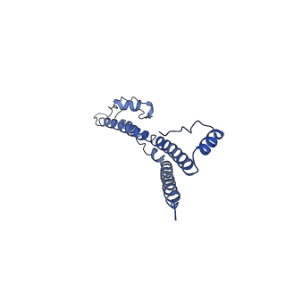 22881_7khw_Q_v1-3
Cryo-EM structure of enteropathogenic Escherichia coli type III secretion system EspA filament