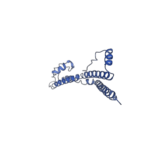 22881_7khw_R_v1-3
Cryo-EM structure of enteropathogenic Escherichia coli type III secretion system EspA filament