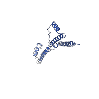 22881_7khw_S_v1-2
Cryo-EM structure of enteropathogenic Escherichia coli type III secretion system EspA filament
