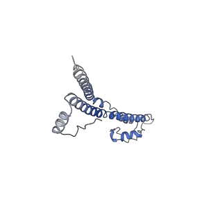 22881_7khw_U_v1-2
Cryo-EM structure of enteropathogenic Escherichia coli type III secretion system EspA filament