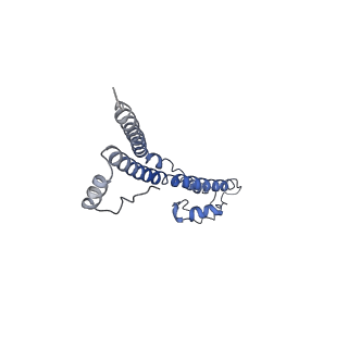 22881_7khw_U_v1-3
Cryo-EM structure of enteropathogenic Escherichia coli type III secretion system EspA filament