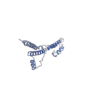 22881_7khw_V_v1-3
Cryo-EM structure of enteropathogenic Escherichia coli type III secretion system EspA filament