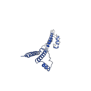 22881_7khw_W_v1-3
Cryo-EM structure of enteropathogenic Escherichia coli type III secretion system EspA filament