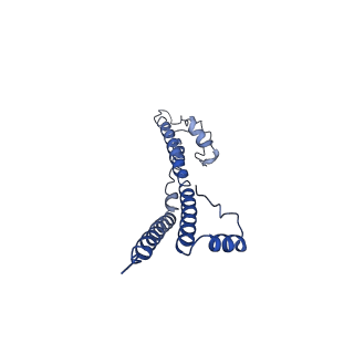 22881_7khw_X_v1-2
Cryo-EM structure of enteropathogenic Escherichia coli type III secretion system EspA filament