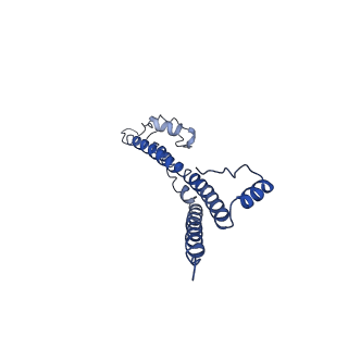 22881_7khw_Y_v1-2
Cryo-EM structure of enteropathogenic Escherichia coli type III secretion system EspA filament
