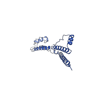 22881_7khw_Z_v1-2
Cryo-EM structure of enteropathogenic Escherichia coli type III secretion system EspA filament