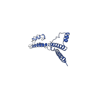 22881_7khw_Z_v1-3
Cryo-EM structure of enteropathogenic Escherichia coli type III secretion system EspA filament