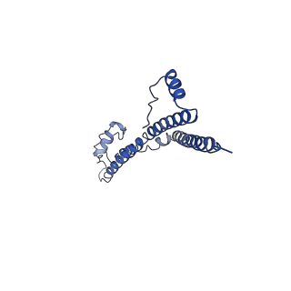 22881_7khw_a_v1-3
Cryo-EM structure of enteropathogenic Escherichia coli type III secretion system EspA filament