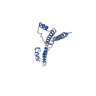 22881_7khw_b_v1-2
Cryo-EM structure of enteropathogenic Escherichia coli type III secretion system EspA filament