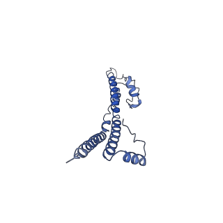 22881_7khw_e_v1-2
Cryo-EM structure of enteropathogenic Escherichia coli type III secretion system EspA filament