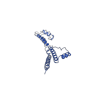 22881_7khw_f_v1-2
Cryo-EM structure of enteropathogenic Escherichia coli type III secretion system EspA filament