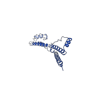 22881_7khw_g_v1-2
Cryo-EM structure of enteropathogenic Escherichia coli type III secretion system EspA filament