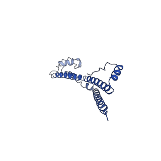 22881_7khw_g_v1-3
Cryo-EM structure of enteropathogenic Escherichia coli type III secretion system EspA filament