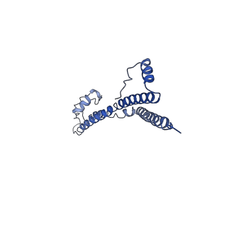 22881_7khw_h_v1-3
Cryo-EM structure of enteropathogenic Escherichia coli type III secretion system EspA filament