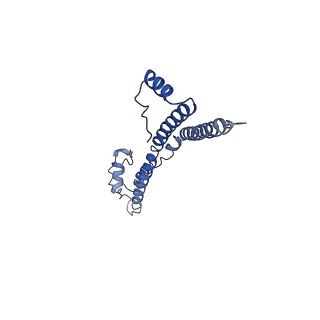 22881_7khw_i_v1-3
Cryo-EM structure of enteropathogenic Escherichia coli type III secretion system EspA filament