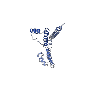 22881_7khw_j_v1-2
Cryo-EM structure of enteropathogenic Escherichia coli type III secretion system EspA filament