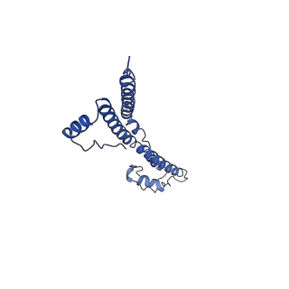 22881_7khw_k_v1-3
Cryo-EM structure of enteropathogenic Escherichia coli type III secretion system EspA filament