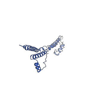 22881_7khw_m_v1-3
Cryo-EM structure of enteropathogenic Escherichia coli type III secretion system EspA filament