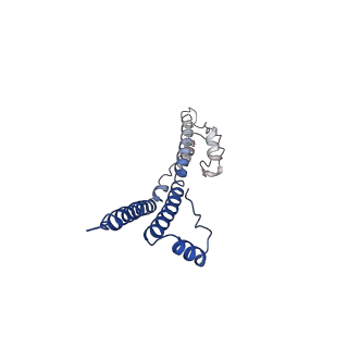 22881_7khw_n_v1-2
Cryo-EM structure of enteropathogenic Escherichia coli type III secretion system EspA filament