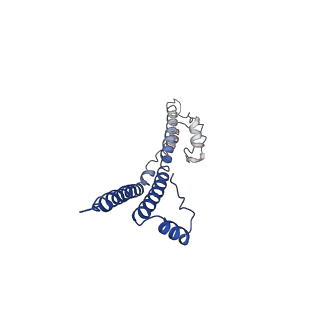 22881_7khw_n_v1-3
Cryo-EM structure of enteropathogenic Escherichia coli type III secretion system EspA filament