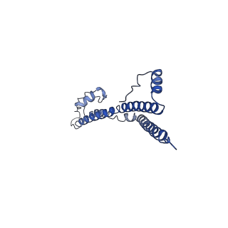 22881_7khw_p_v1-3
Cryo-EM structure of enteropathogenic Escherichia coli type III secretion system EspA filament