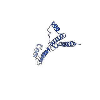22881_7khw_q_v1-2
Cryo-EM structure of enteropathogenic Escherichia coli type III secretion system EspA filament