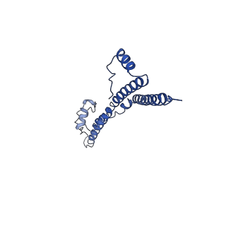 22881_7khw_q_v1-3
Cryo-EM structure of enteropathogenic Escherichia coli type III secretion system EspA filament